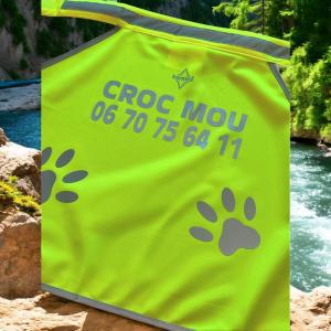 Gilet de se curite pour chien 3 1